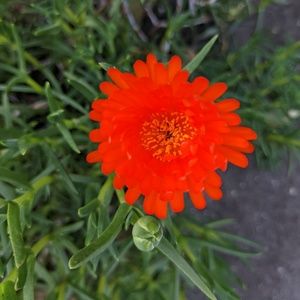 Meet your Posher, Mitra